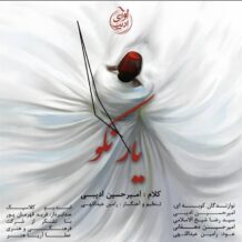 آهنگ جدید امیرحسین ادیبی به نام یار نکو